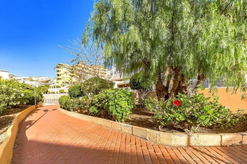 Tenerifeopenhome Costa Adeje Comfort Apartment 3 Pools Buitenkant foto
